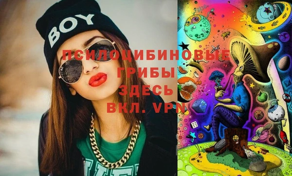 молекула духа Баксан